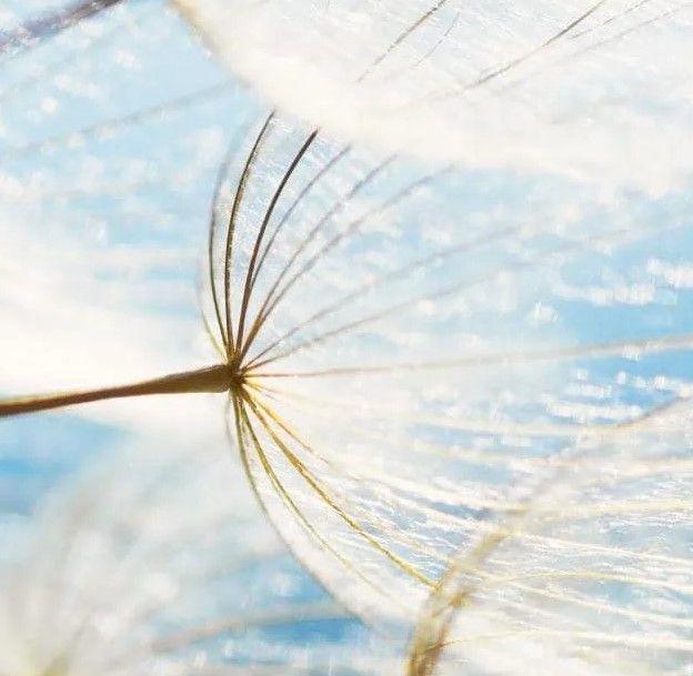 Classy Art Make A Wish Wall Art-1
