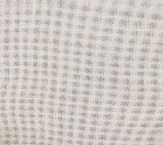 Legacy Classic Harmony Dorel Asbury Oyster/Prelude Frost Arm Chair-4