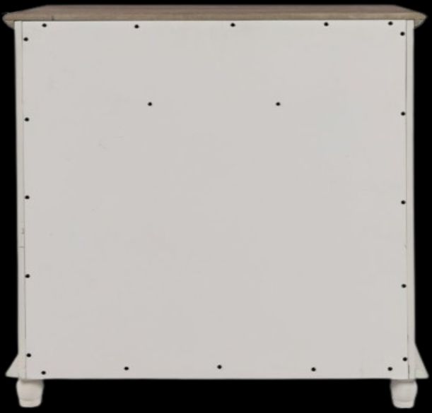 Jofran Inc. Aurora Hills Brushed White 2-Door Accent Chest-3