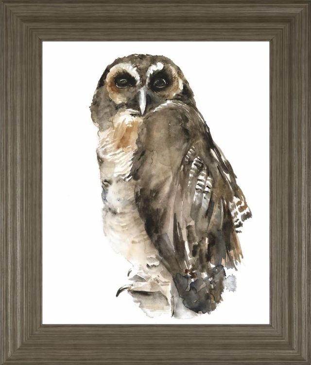 Classy Art Watercolor Owl I by Jennifer Paxton Parker Wall Art-0