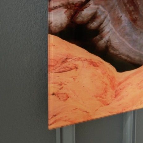 Signature Design by Ashley® Deemsdon Wall Art-3