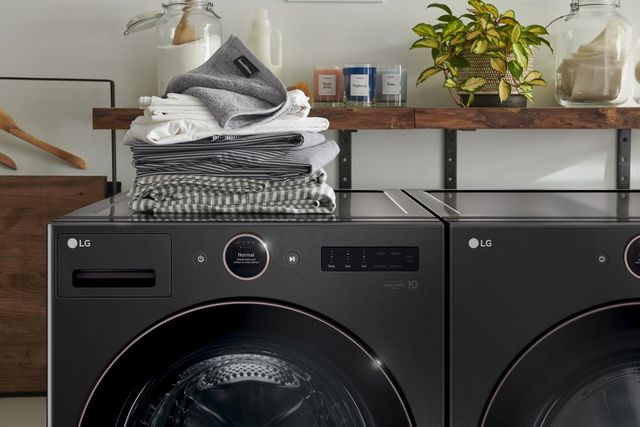 LG 7.4 Cu. Ft. Black Steel Front Load Electric Dryer-14