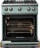 Viking® 5 Series 30" Splash Pro Style Gas (LP) Range with Brushed Brass Trim-1
