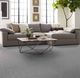 Shaw® Floors Pet Perfect Plus Nature Within Silver Lining Carpet-1