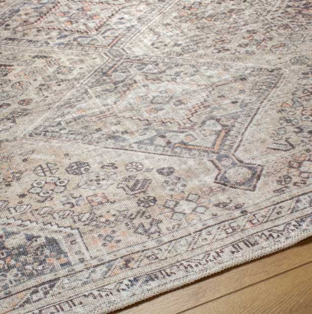 Surya Embrace Brown 4'x6' Area Rug-3