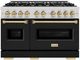ZLINE Classic Autograph Edition 48" Stainless Steel Pro Style Dual Fuel Range with Black Matte Door and Champagne Bronze Accents-0