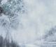 Crestview Collection Steady Horizon Gray/White Wall Art -1