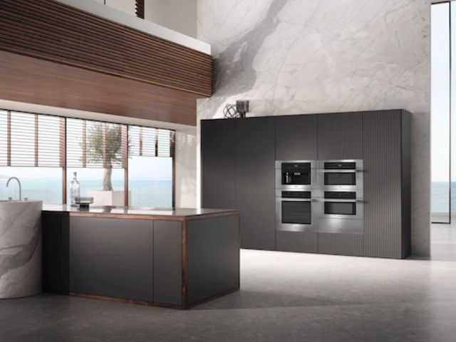Miele Contour Line 30'' Stainless Steel Speed Oven-2