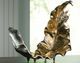 Signature Design by Ashley® Darinsen Gold/Silver Sculpture-3