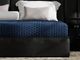 Blue Ice Renew Firm Queen Mattress-0
