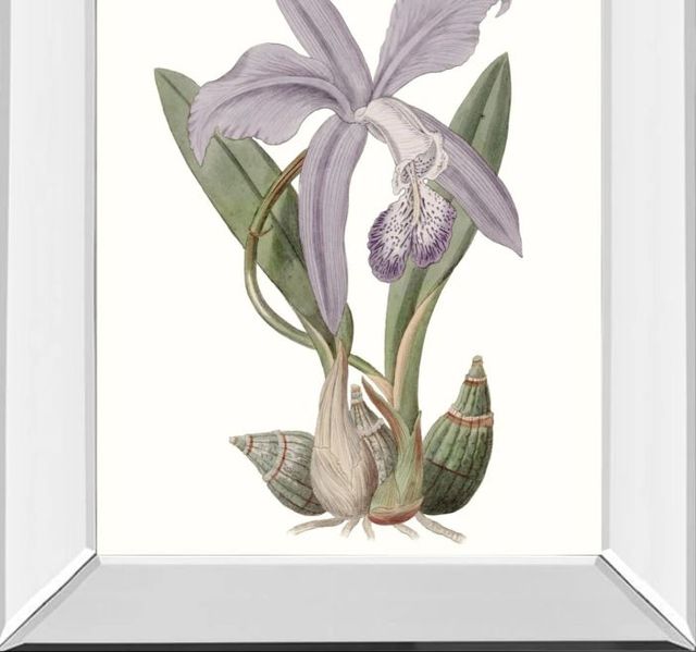 Classy Art Lavender Beauties IV by Edwards Mirror Framed Wall Art-1