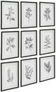 Uttermost® 9-Piece Farmhouse Florals Framed Prints Set-3