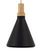 YHD Black 1-Light Pendant-3
