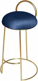 Navy-Gold
