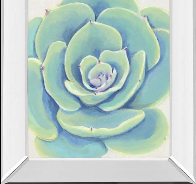 Classy Art Pastel Succulent IV by Tim OToole Mirror Framed Wall Art-1