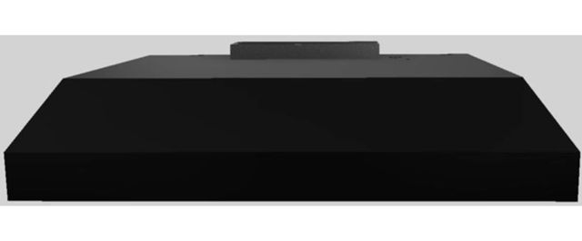 Vent-A-Hood® K Series 30" Black Wall Mounted Liner Insert-1