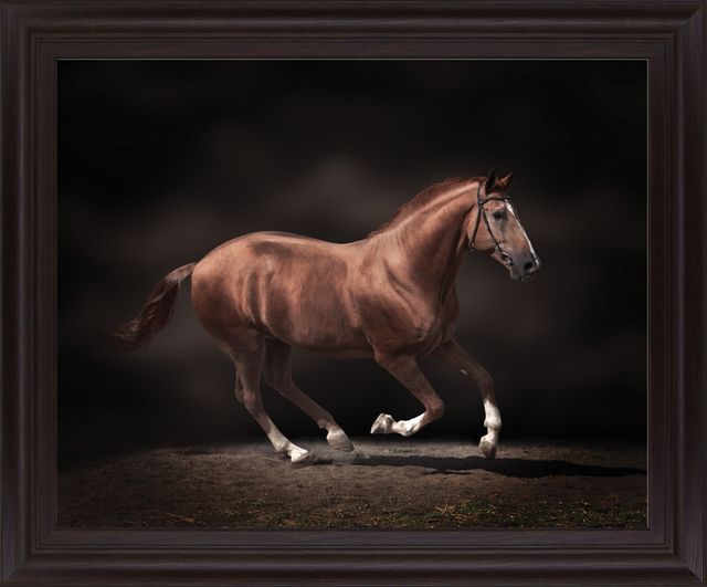 Classy Living Chestnut Grace Wall Art-0