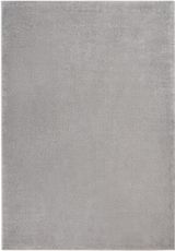 Silver Grey