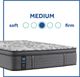 Sealy® Posturepedic® Plus Satisfied II 14" Innerspring Medium Euro Pillow Top Twin XL Mattress-4