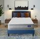 Serta® Perfect Sleeper® Hotel Congressional Suite Supreme 12.5" Wrapped Coil Plush Euro Pillow Top Double-Sided Queen Mattress-0