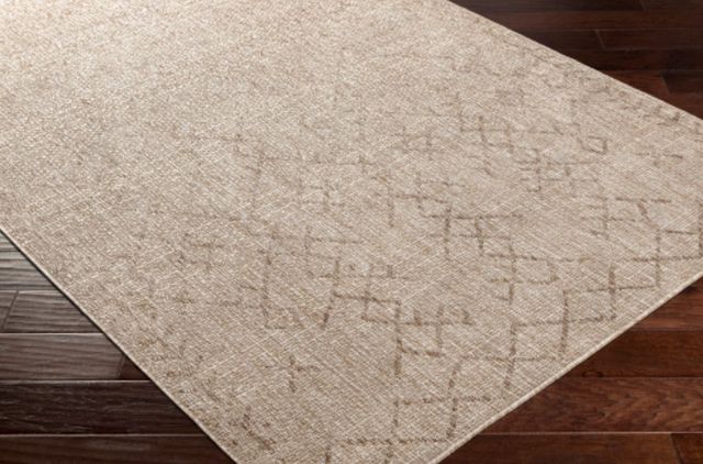 Surya Eagean Taupe 4'x6' Area Rug-2