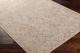 Surya Eagean Taupe 4'x6' Area Rug-2