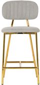 TOV Furniture Ariana Gray Set of 2 Counter Stool-2