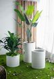 A & B Home White Ridged Round Cement Planter-5