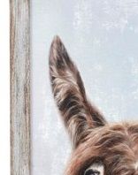 StyleCraft The Donkey Left Multi-Color Framed Print-1