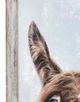 StyleCraft The Donkey Left Multi-Color Framed Print-1