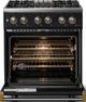 Viking® 5 Series 30" Onyx Pro Style Dual Fuel (NG) Range with Brushed Brass Trim-1