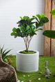 A & B Home White Ridged Round Cement Planter-4
