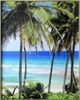 Crestview Collection Tropical 2-Piece Blue/Green Wall Art Set-2