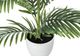 Monarch Specialties Inc. Green/White 28" Tall Artificial Potted Palm Tree-1