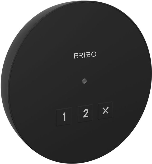 Brizo Mystix™ Matte Black Elemental Round Exterior Control-0