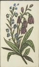 Stylecraft Vintage Floral II Wall Art-2