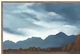 Classic Home Desert Painting -1
