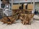 Modus Furniture One Glass Top Coffee Table with Natural Base-1
