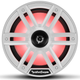 Rockford Fosgate®  8” Color Optix™ Marine 2-Way Horn System-1