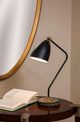 Bassett Mirror Correll Black/Brass Task Lamp-2
