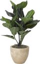D&W Silks Fiddle Leaf Fig 32"-0