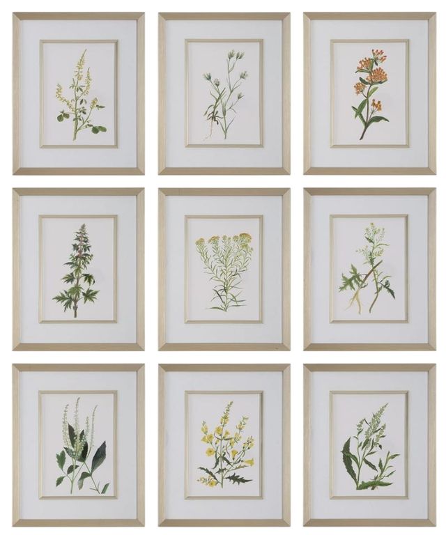 Uttermost® Botanical Flowers 9-Piece Framed Prints Set-0
