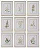 Uttermost® Botanical Flowers 9-Piece Framed Prints Set-0