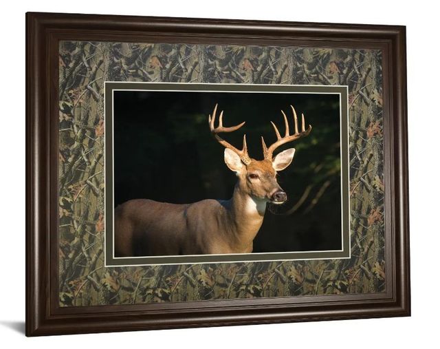 Classy Art White Tail Buck by Tony Campbell Wall Art-1