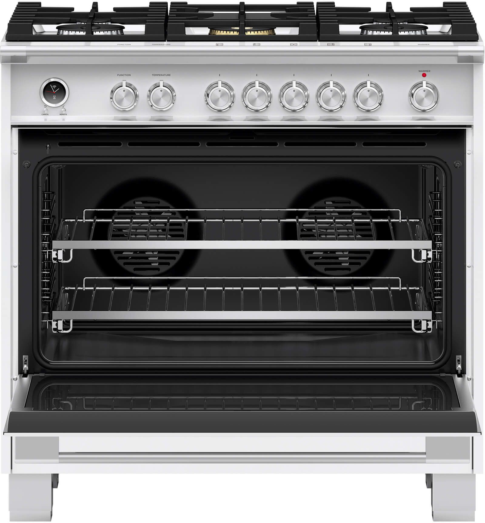 Fisher & Paykel Pro Style Dual Fuel Range - Thumbnail 2