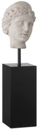 Currey & Company 2-Piece Beige/Black/Pale Gray Venus Head on Stand Set-2