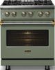 Viking® 5 Series 30" Eucalyptus Pro Style Dual Fuel (LP) Range with Polished Chrome Trim-2
