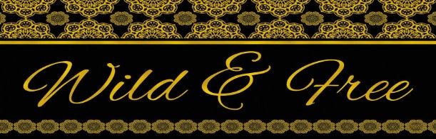 Classy Art Wild and Free by Cindy Jacobs Wall Art-1