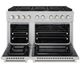 ZLINE 48" Satin Stainless Steel Pro Style Gas Range-1