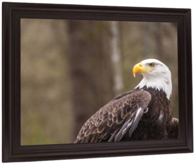Classy Living Stoic Watcher Wall Art-2